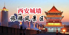 操屄的人中国陕西-西安城墙旅游风景区