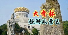 国产美穴中国浙江-绍兴大香林旅游风景区